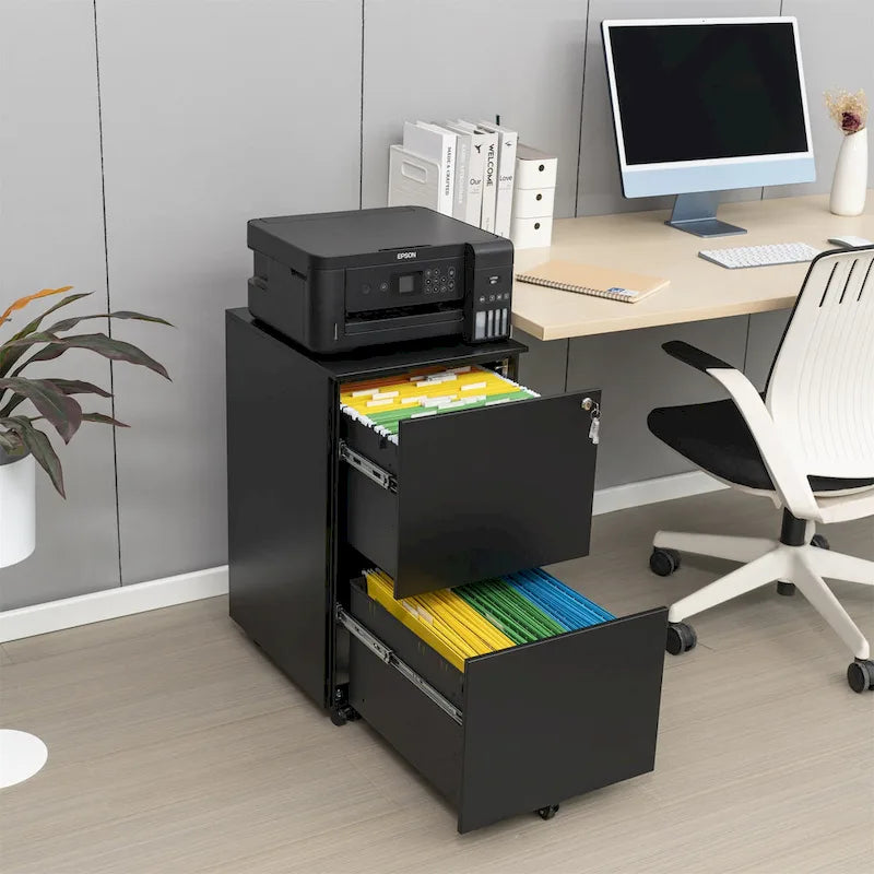2 Drawer Steel Mobile Filing Cabinet with Lock and Anti-tilt Wheels