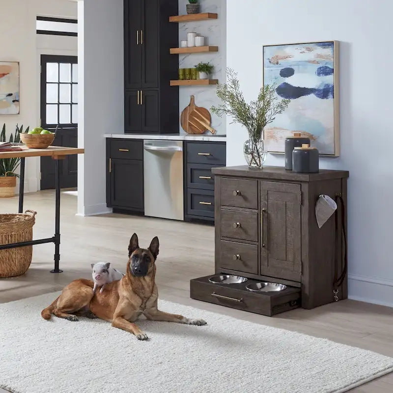 Modern Farmhouse Pet Feeder with Storage, Pull Out Drawers - 2 Finish Options